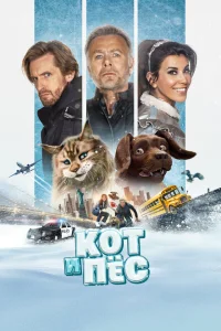  Кот и пёс 
